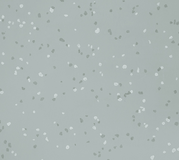 ˫ɫHSH-5011